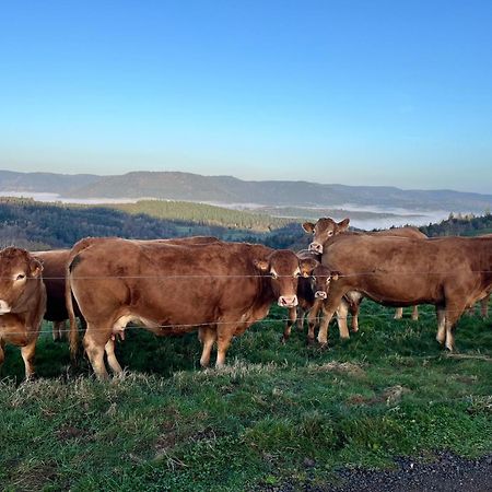 Gite De Montagne -Bellefosse Alsace Kültér fotó