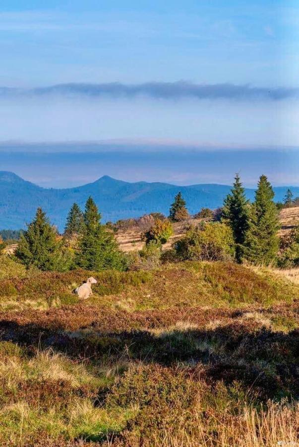 Gite De Montagne -Bellefosse Alsace Kültér fotó