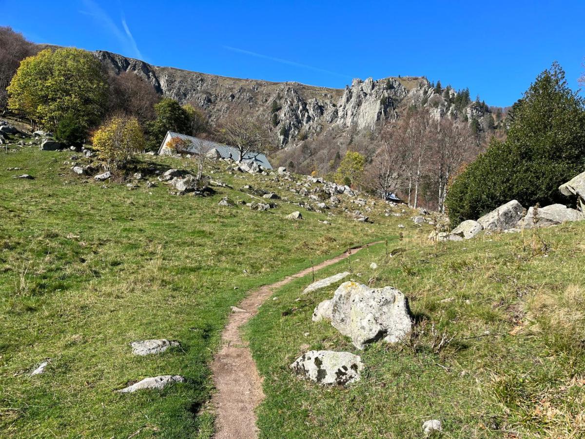 Gite De Montagne -Bellefosse Alsace Kültér fotó