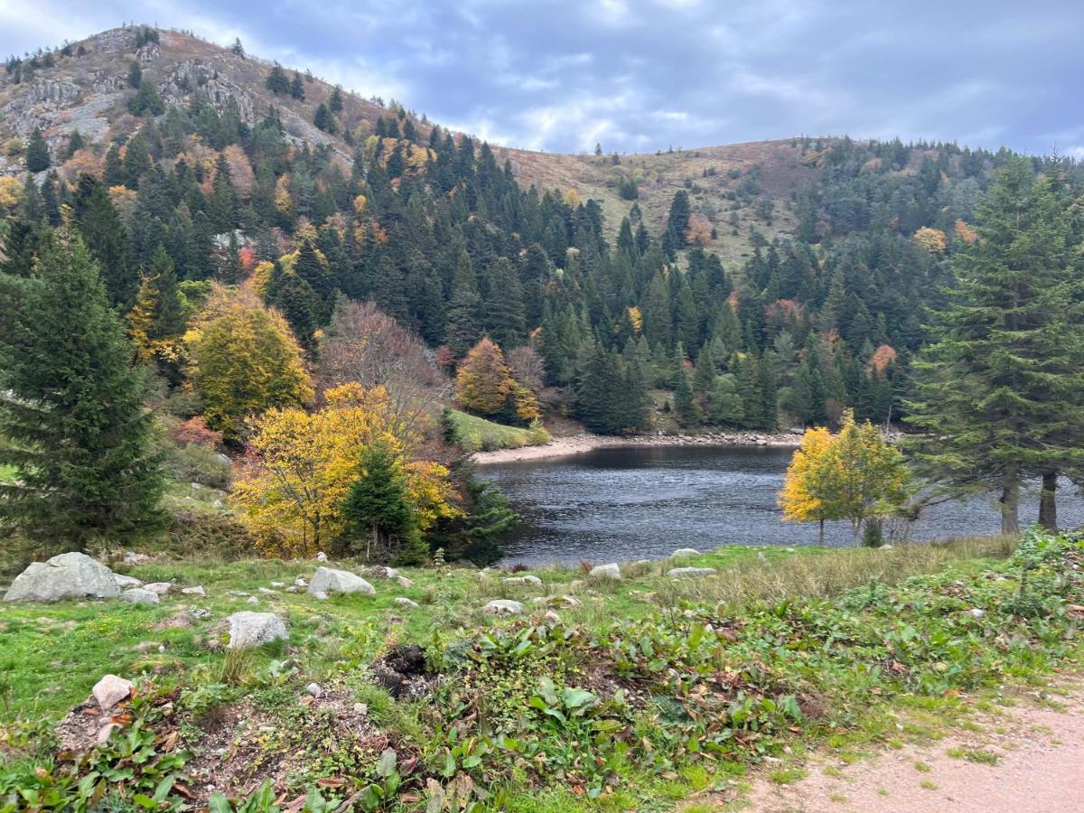 Gite De Montagne -Bellefosse Alsace Kültér fotó
