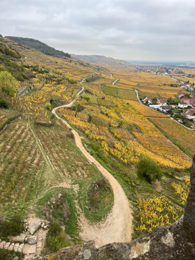 Gite De Montagne -Bellefosse Alsace Kültér fotó
