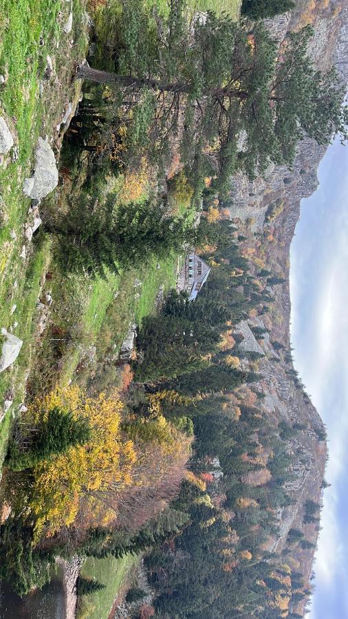 Gite De Montagne -Bellefosse Alsace Kültér fotó