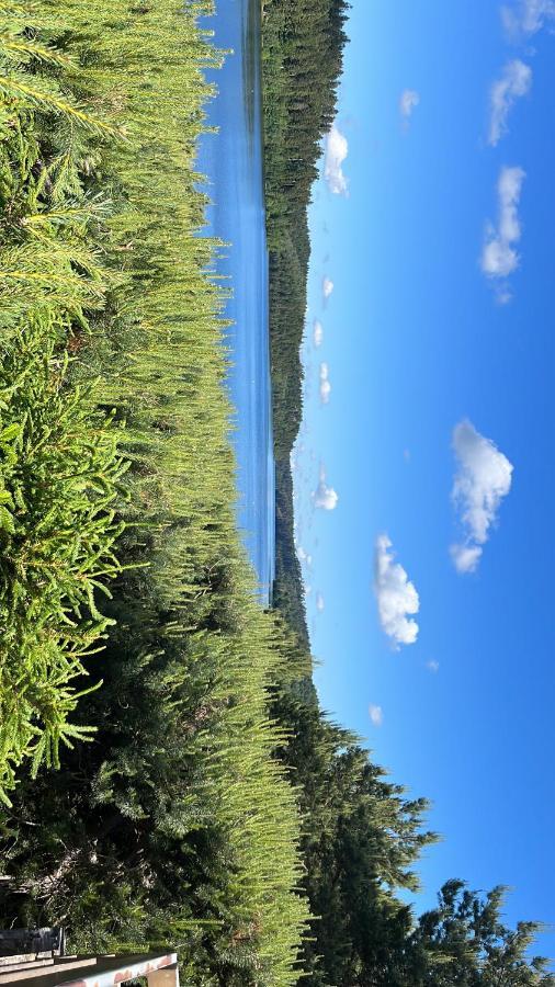 Gite De Montagne -Bellefosse Alsace Kültér fotó