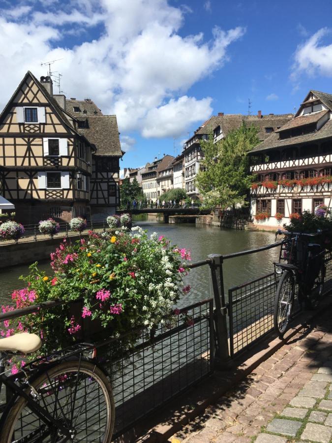 Gite De Montagne -Bellefosse Alsace Kültér fotó