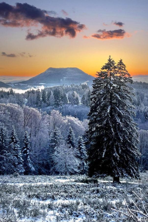Gite De Montagne -Bellefosse Alsace Kültér fotó