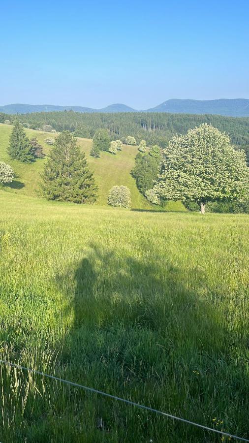 Gite De Montagne -Bellefosse Alsace Kültér fotó