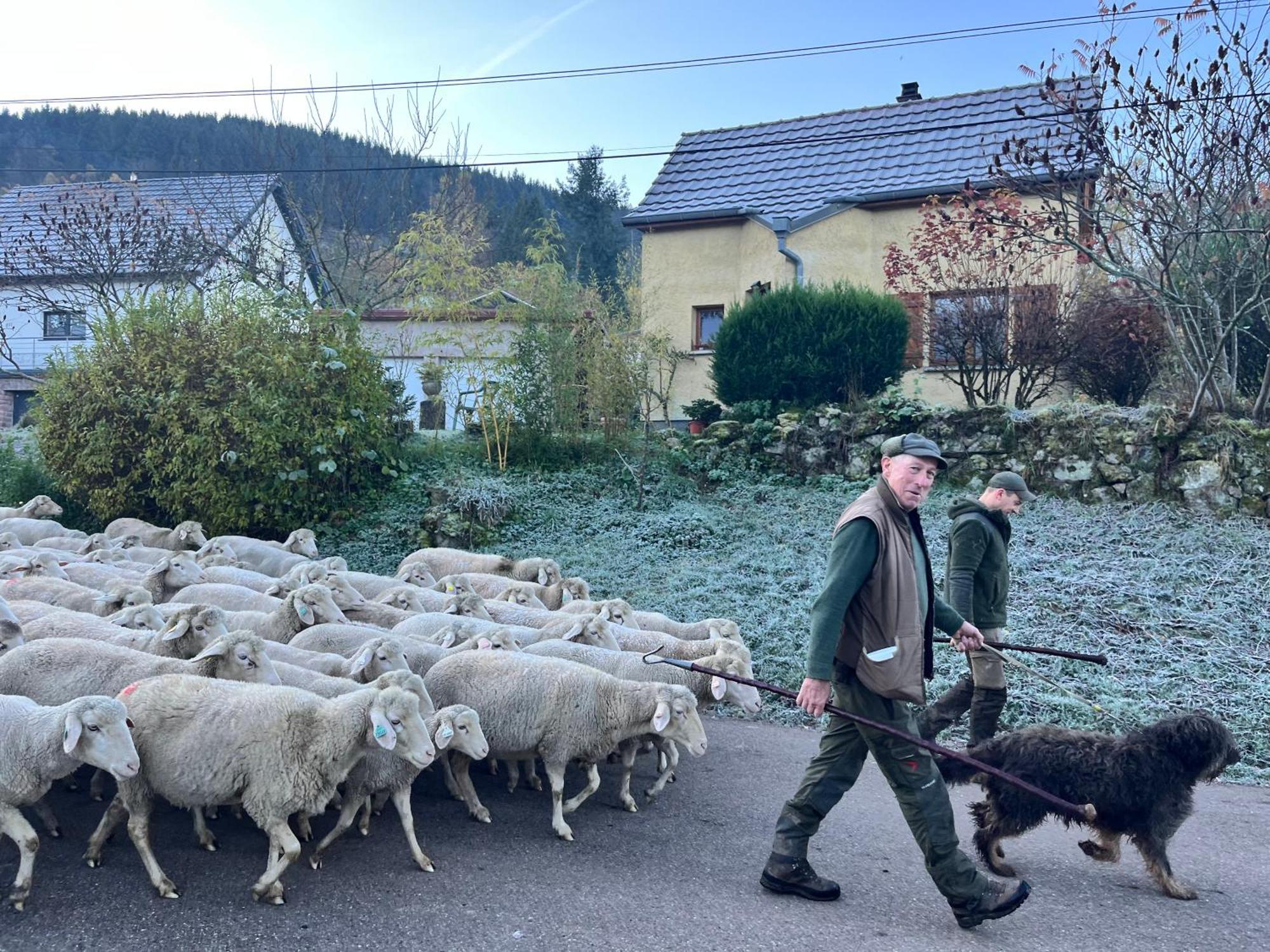 Gite De Montagne -Bellefosse Alsace Kültér fotó