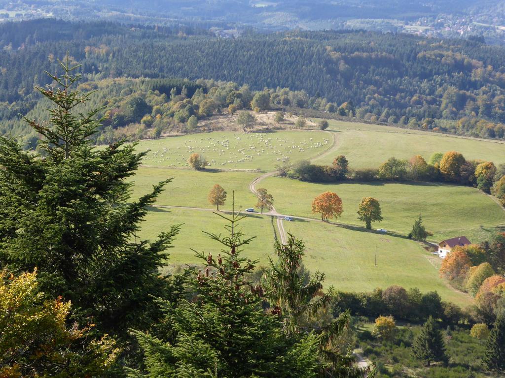 Gite De Montagne -Bellefosse Alsace Kültér fotó