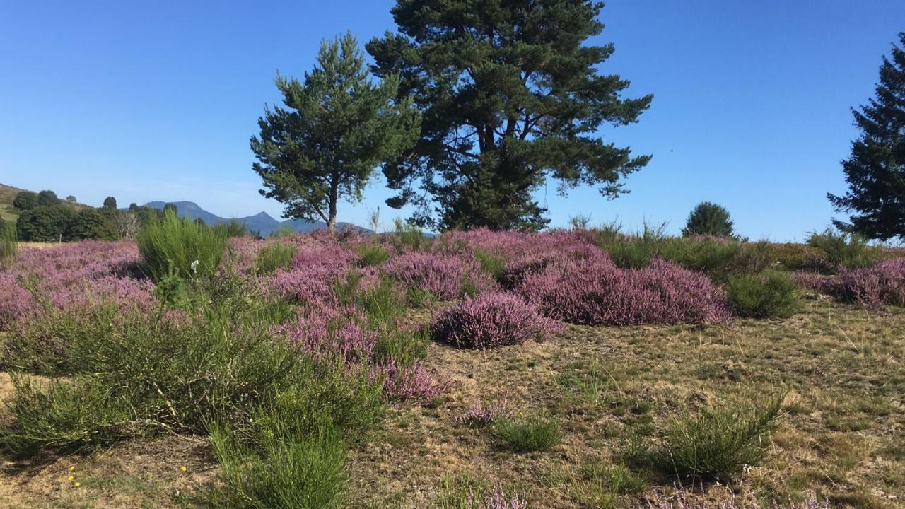 Gite De Montagne -Bellefosse Alsace Kültér fotó