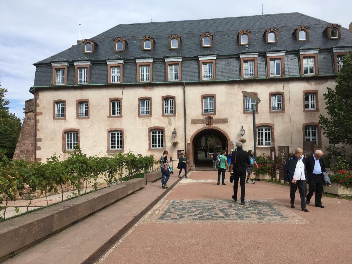 Gite De Montagne -Bellefosse Alsace Kültér fotó
